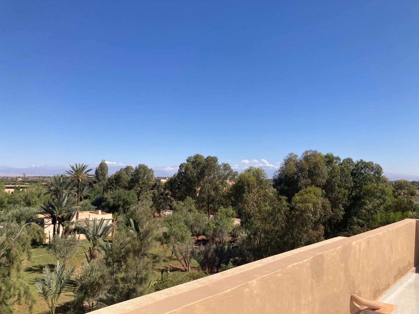 Family Palms Luxe Villa Marrakech With Private Pool مراكش الغرفة الصورة